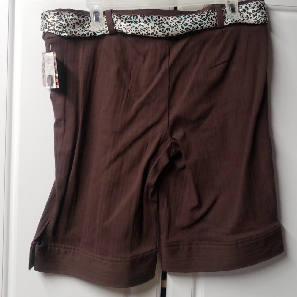 Shorts - Picture 2 of 2